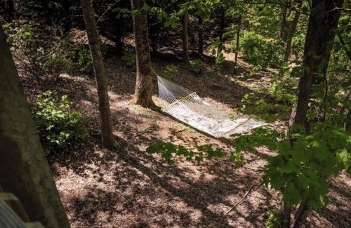 Skyland Cabin | Cozy Cabin w/Hot tub 3.7 miles from Biltmore House