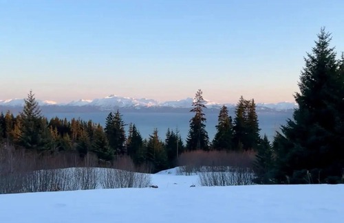 Homer Cabin | Cozy Cabin with Amazing Viewsnn
