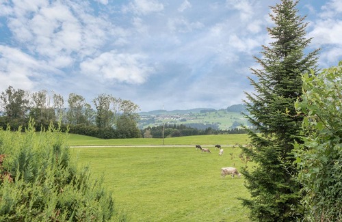 Weiler-Simmerberg RV Rental | Cozy Caravan “Camping Stellplatz Nr. 43” with Mountain View, Garden Area & WiFi; Parking Available