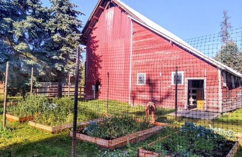 Whitefish Cabin | Cozy cheerful cabin in great location