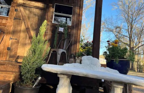 Conway Cabin | Cozy Cocoon by the Pond