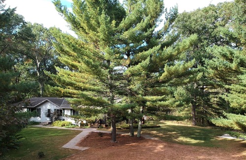 Nekoosa House | Cozy comfy house 5 min from Sand Valley Golf and 45 min from Wisconsin Dells