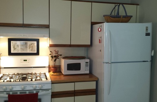 Royal Pines Cottage | Cozy Cork Cottage Asheville South/Private/Secure/Quaint/Near Airport
