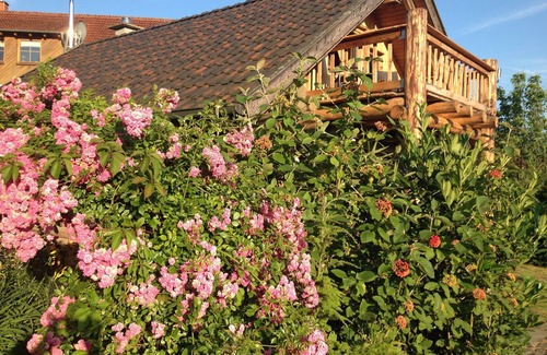 Gottsburen House | Cozy cottage on Reinhard forest near the Sababurg