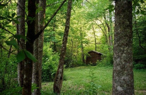 Gerton Cottage | Cozy Cottage Beside Creek with Waterfalls