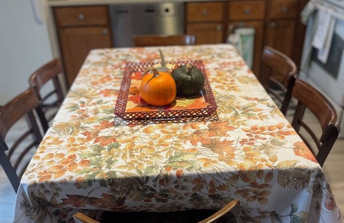 Lake Ariel House | Cozy family friendly house- in the heart of the poconos