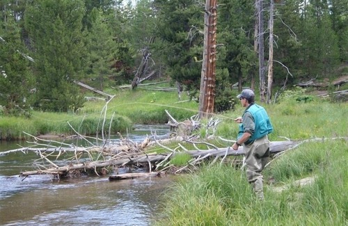 Island Park Cabin | Cozy Guest Cabin by Henry's Lake & Near Yellowstone