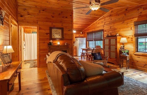 Blue Ridge Cabin | Cozy Hollow: Hot tub, fireplace, romantic getaway