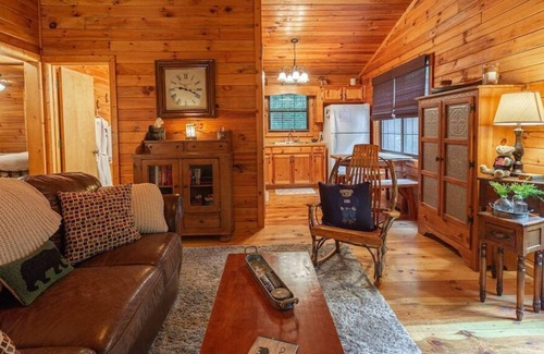 Blue Ridge Cabin | Cozy Hollow: Hot tub, fireplace, romantic getaway