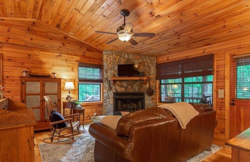 Blue Ridge Cabin | Cozy Hollow: Hot tub, fireplace, romantic getaway