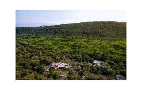 Island Dugi Otok House | Cozy Home In Sali With House Sea View