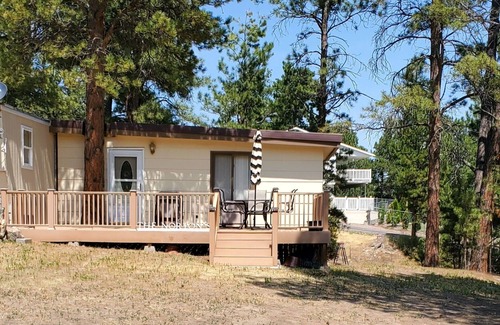 Pine Haven House | Cozy home in the pines