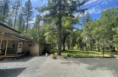 Murphy House | Cozy Home on 5 wooded acres.Close to Applegate River,Parks,Fishing and Vineyards
