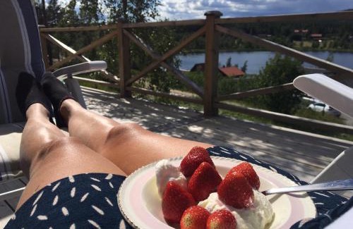 Jarvso Villa | Cozy house in Järvsö with a stunning view