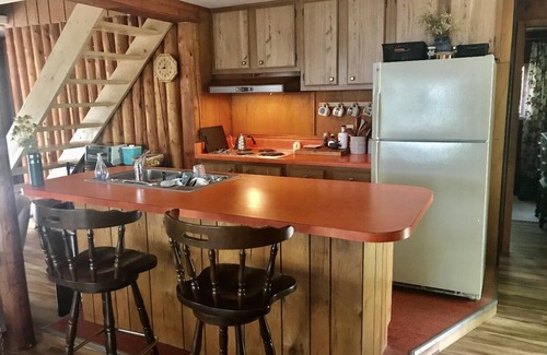 Mesick Cottage | Cozy Log Cabin on 1 Acre