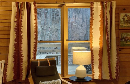 Blue Ridge Cabin | Cozy Mountain Cabin in Aska Wilderness with Saltwater Hot Tub in Blue Ridge, GA