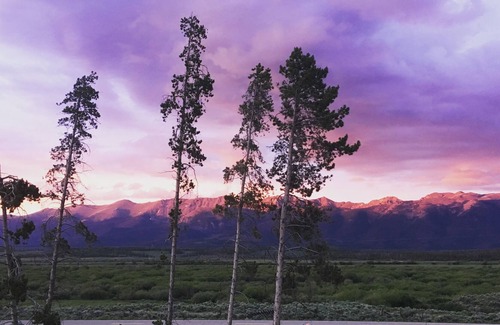 Walden Cabin | Cozy Mountain View cabins.