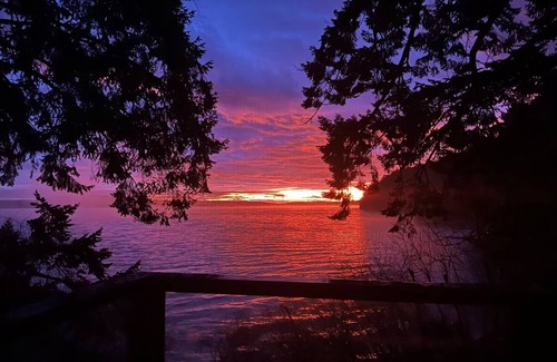 Yellow Point Apartment | Cozy Oceanfront Studio with King bed/Beach Access