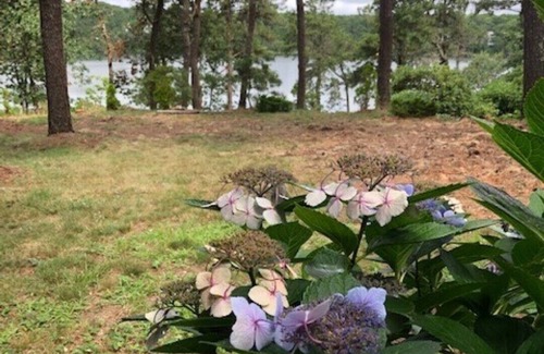 West Chatham Cottage | Cozy one bedroom on White pond (Must bring your own linens)