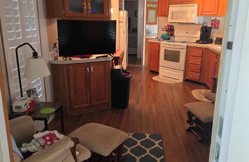 Salt Springs House | Cozy park model with WiFi and AC in fabulous Salt Springs.