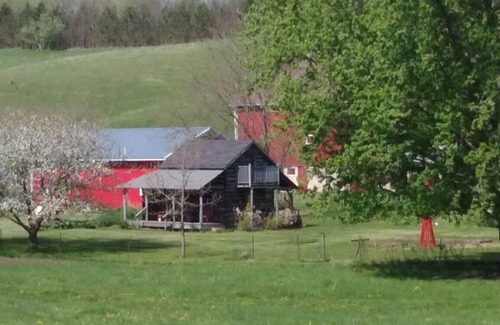 Elroy Cabin | Cozy Pioneer's Cabin on a Peaceful Family Farm