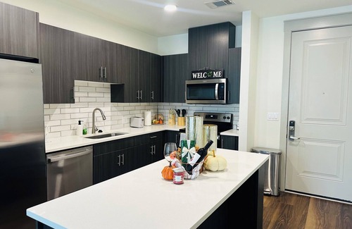 Farmers Branch Apartment | Cozy place with great atmosphere away from home