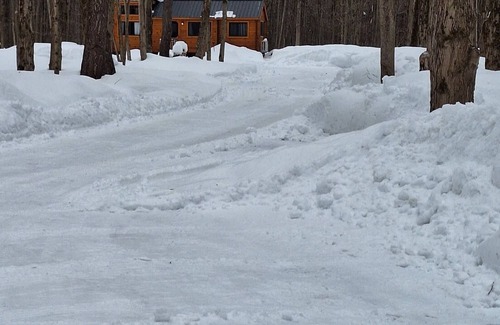 Pulaski Cabin | Cozy retreat for the whole family!n5 min. walk to the famous Salmon River