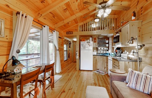 Canton Cabin | Cozy retreat nestled in the mountains near Blue Ridge Parkway