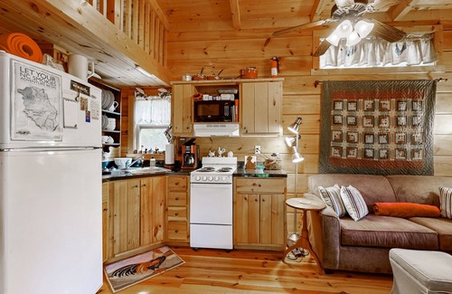 Canton Cabin | Cozy retreat nestled in the mountains near Blue Ridge Parkway
