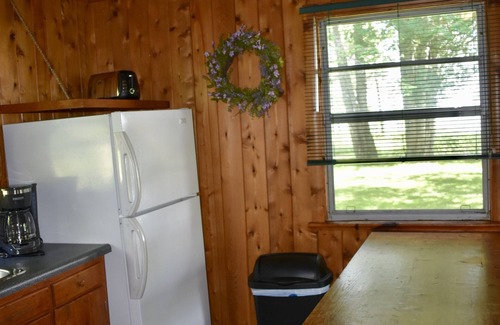 Cheboygan Cabin | Cozy, rustic log cabin on Mullett Lake #5