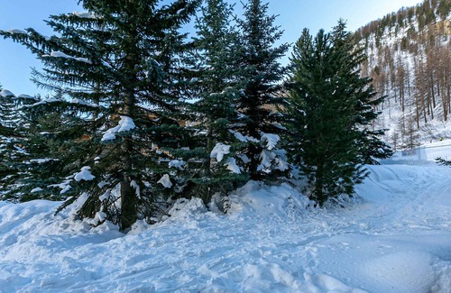 Val-d'Isere Apartment | Cozy ski-in/ski-out studio, terrace, near village, pets welcome