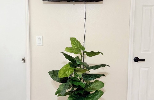 Carrollwood Apartment | Cozy Studio in Tampa Hideaway Central Near Airport Peaceful Stay Netflix Disney+