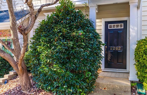 Southwest Raleigh House | Cozy Townhome in Peaceful District of Raleigh