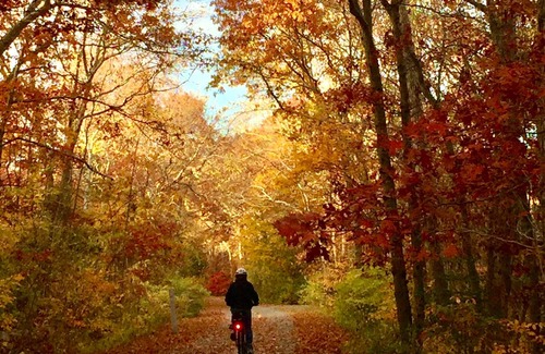 Falmouth Cottage | CozyCottage@FrederickWilliamHouse, on ShiningSea Bikeway, Bikes Included