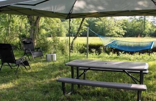 Ridgeline Vistas Apartment | Creekside Camper - Nature, Hammock, No Fees
