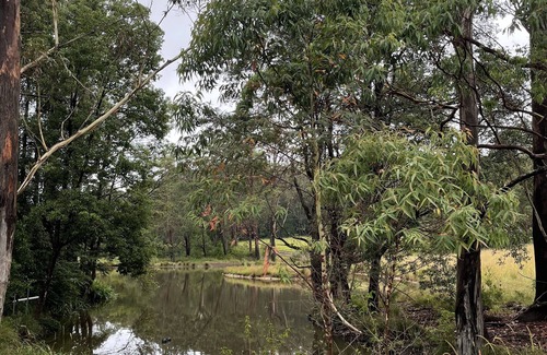 Broughton Vale Cottage | Creekside Historical Cottage - Near Berry