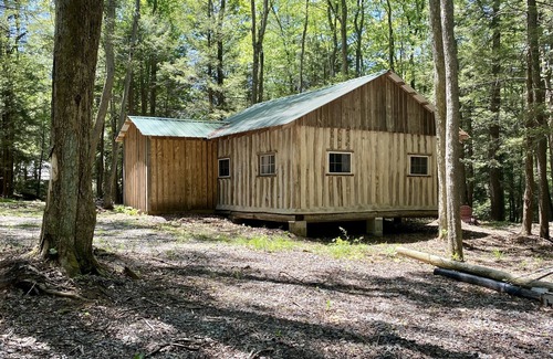 Aurora Cabin | Creekside Log Cabin w/firepit, near quaint towns Thomas/Davis & many state parks