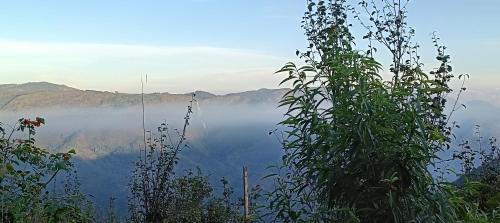 Kodaikanal House | Croods farm house