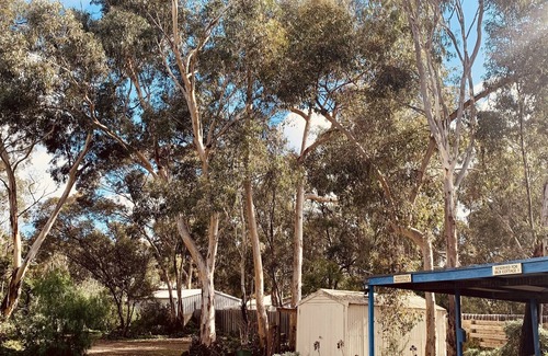 Kanmantoo Cottage | Cute Cosy Cottages – Your Perfect Pet-Friendly Getaway in the Adelaide Hills.