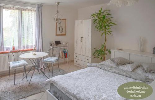 Brandys nad Labem-Stara Boleslav House | Villa Letná