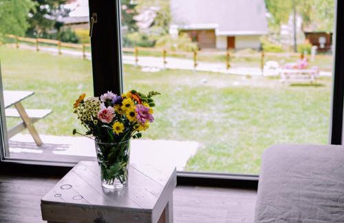 Janov nad Nisou Apartment | Dům Jonáš