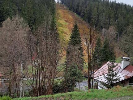 Nove Hamry House | Dům u lesa - Nové Hamry