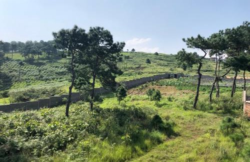 Shillong House | Da Blanche