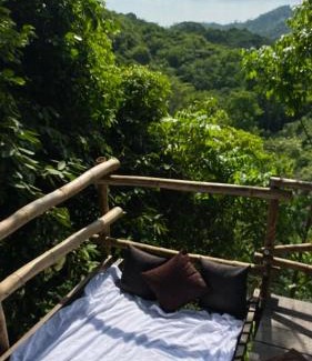Canaveral Other | Dacnis tayrona glamping