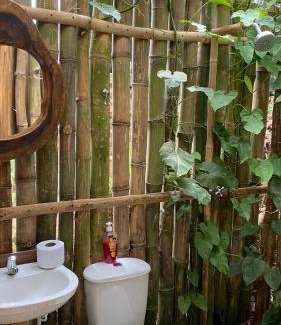 Canaveral Other | Dacnis tayrona glamping