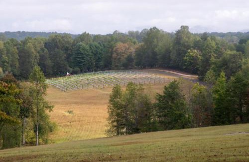 Dahlonega Hotel | Dahlonega Resort and Vineyard