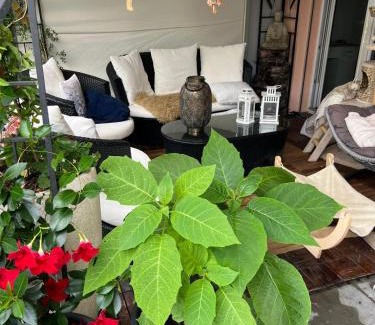 Elgg House | Daianas Corner