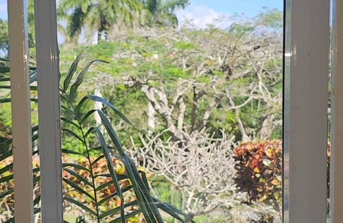 Porus Cottage | Dalkeith Greathouse-Saltwater Pool ,Lush Gardens & Free Wifi Available