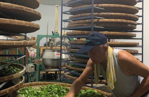 Liugui District Bed & Breakfast | Dao fashion villa