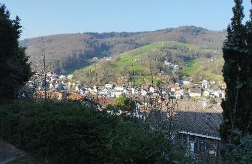 Gorxheimertal Apartment | Das Tor zum Odenwald